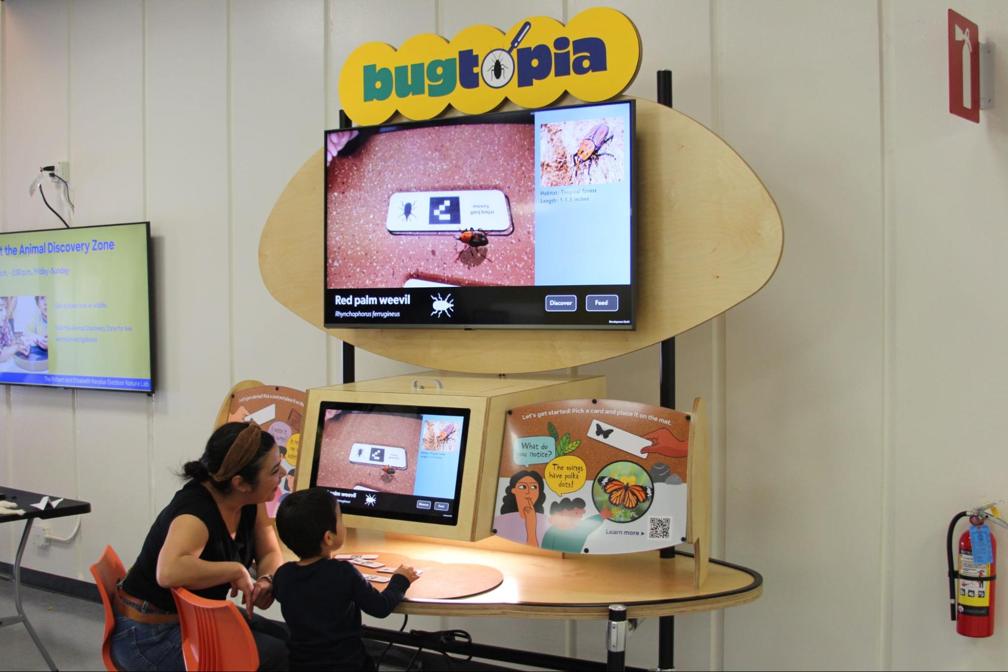 An adult and child are looking at bugs at the Bugtopia exhibit.