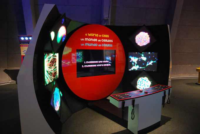 Super Cells exhibit screen
