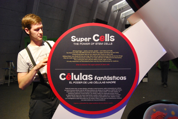 Super Cells: The power of stem cells | Celulas Fantasticas: El poder de las celulas madre