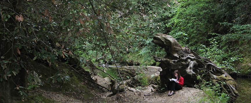 A young person sits in the forest reading