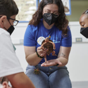 A Lawrence educator holds a turtle while children observe the animal