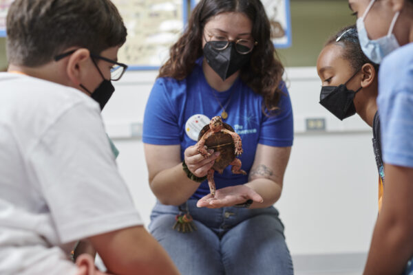 A Lawrence educator holds a turtle while children observe the animal