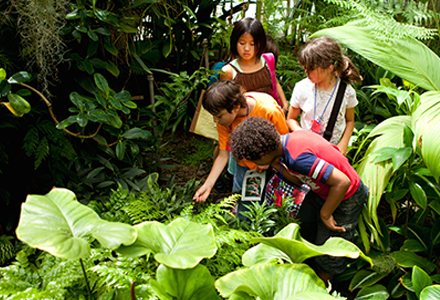 Children interacting with the environment