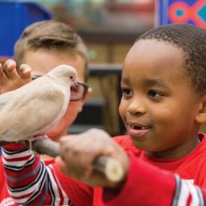 Close up dove and boy in ADZ Animal Discovery Zone
