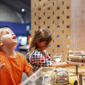 Two children exploring a science exhibit