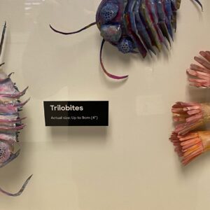 Paper sculptures of creatures from the Cambrian era