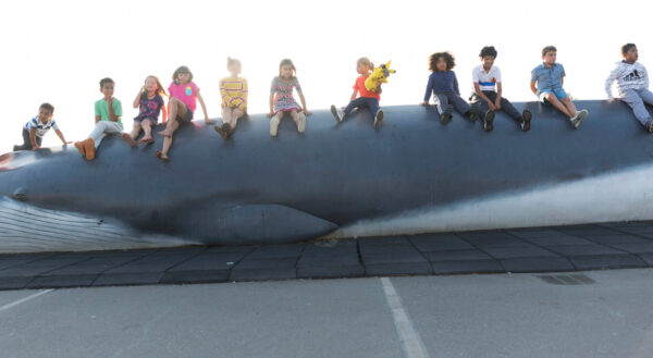 A row of children sitting on top of Pheena the Fin Whale