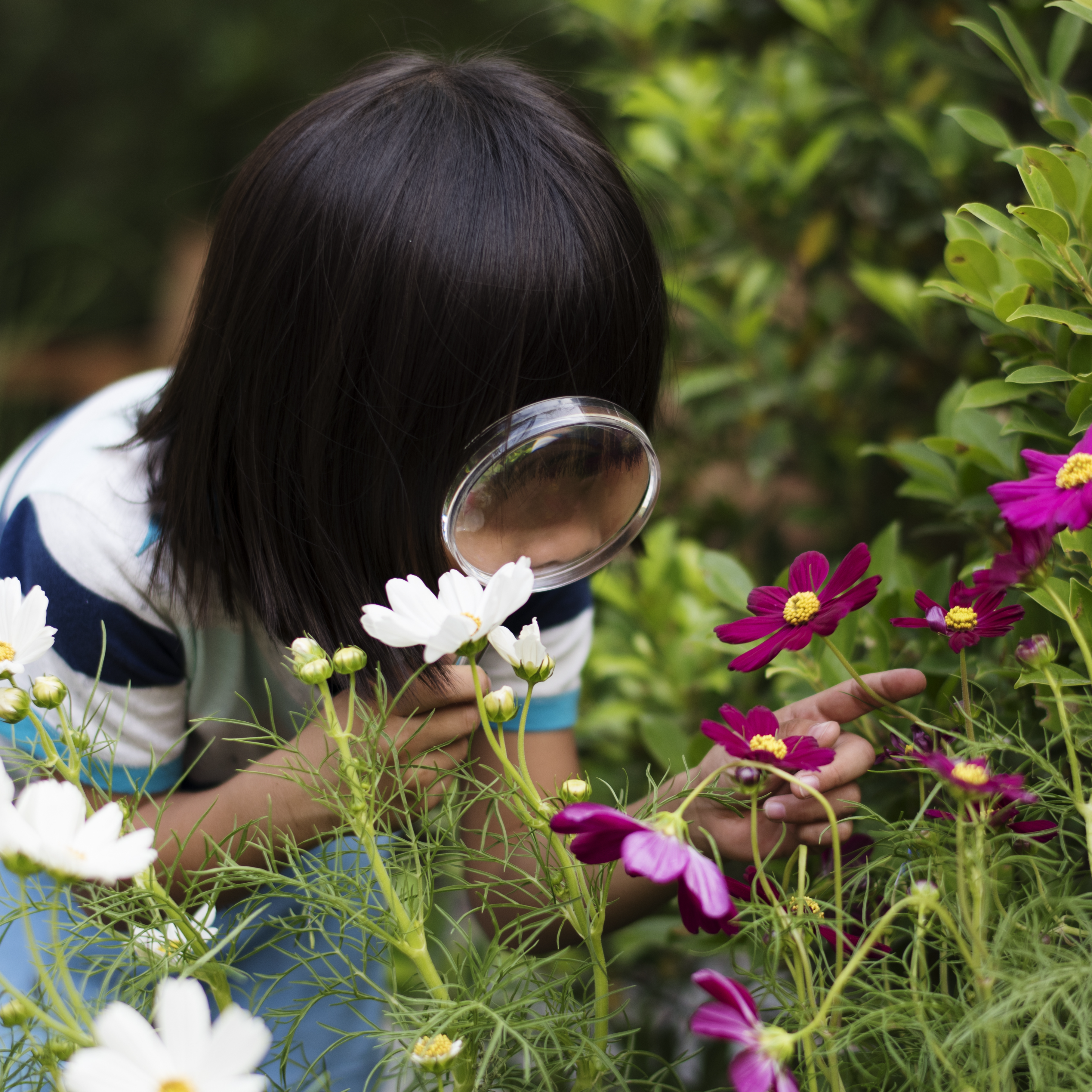 A young visitor examines a flower up close with a hand lens