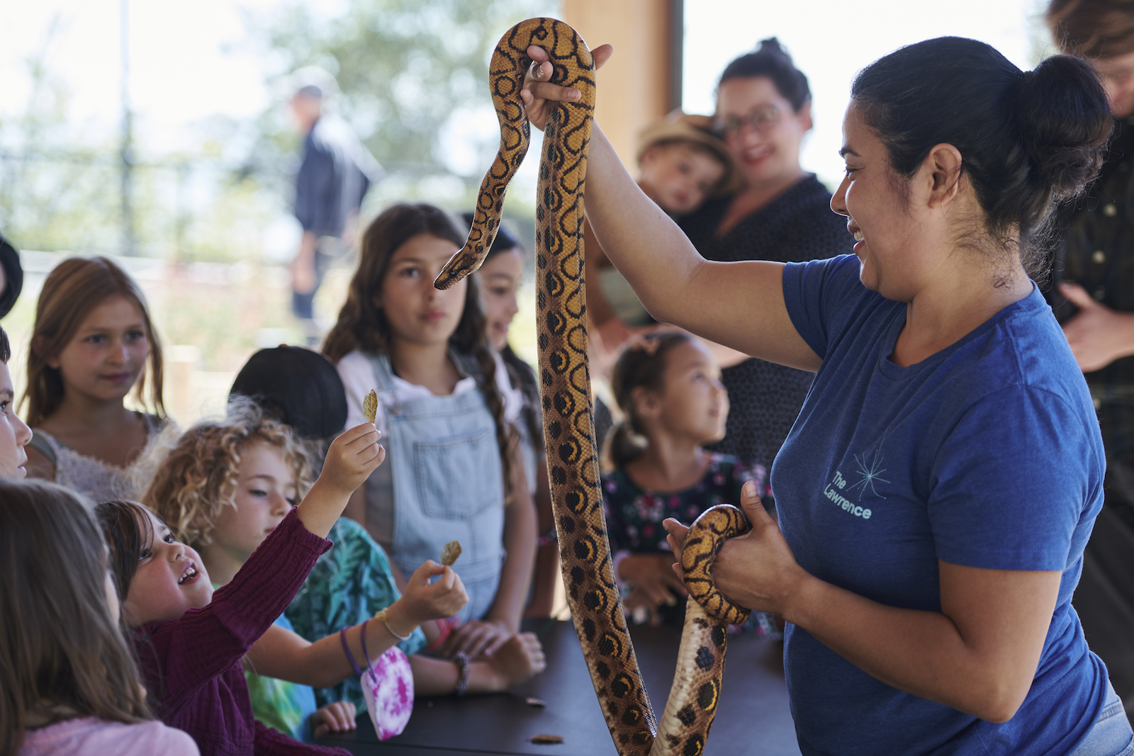 Children observe a snake in the Animal Discovery Zone at the Lawrence