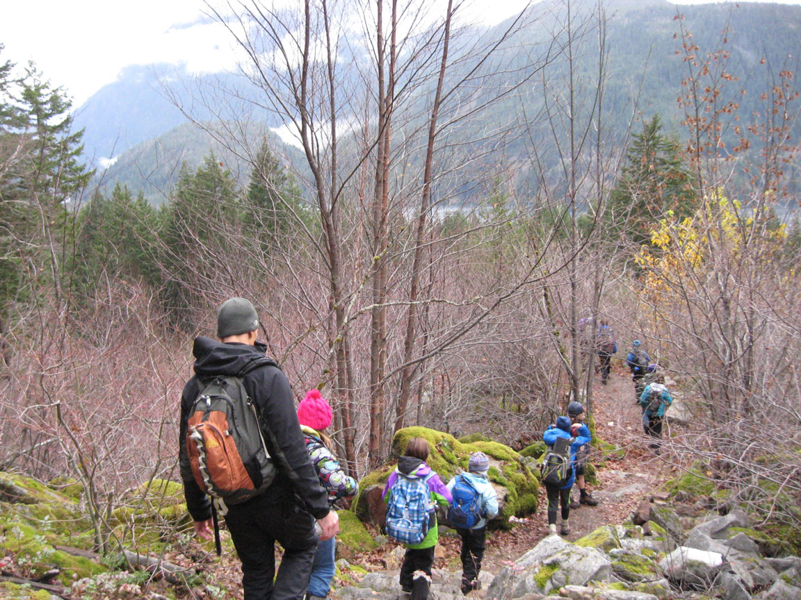 Students walking outdoors in the forest during a science activity