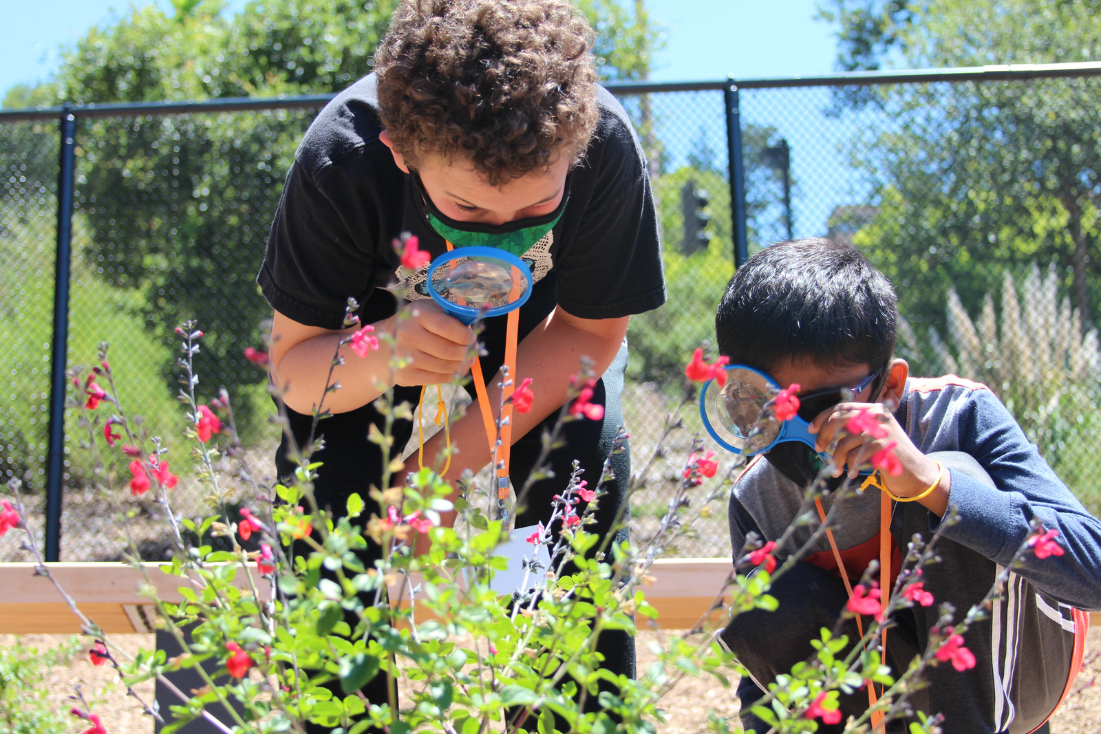Two young people are using hand lenses to observe nature in the Outdoor Nature Lab