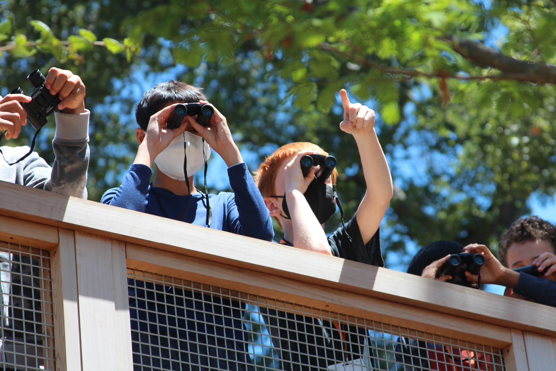 A group of young people are observing nature using binoculars in the Outdoor Nature Lab