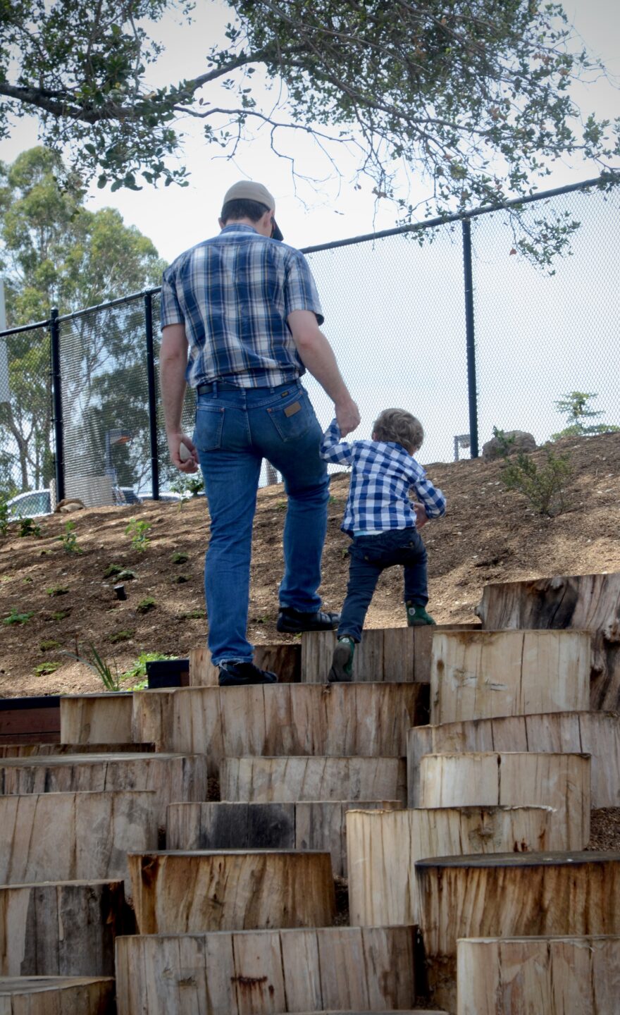 A father and sun climbing the stump stairs in the Outdoor Nature Lab