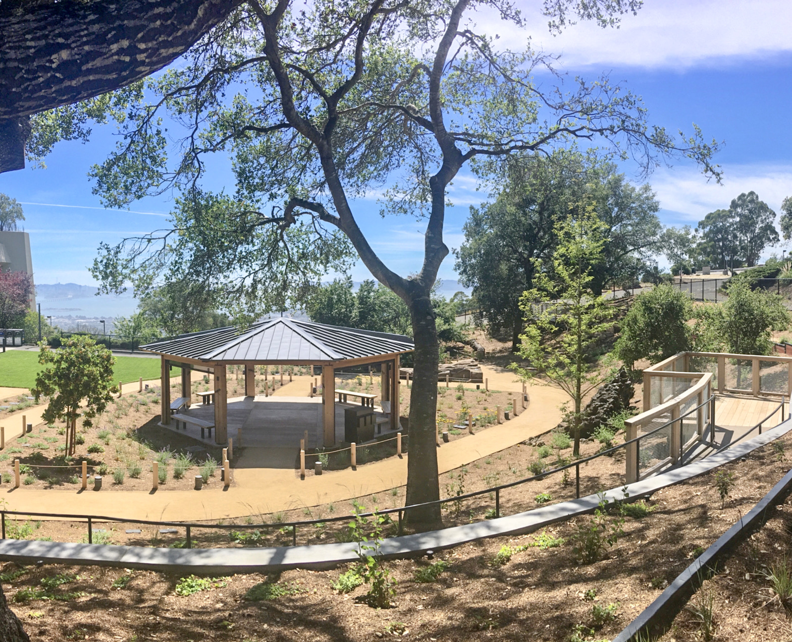 view of pavilion, deck, and paths in Outdoor Nature Lab