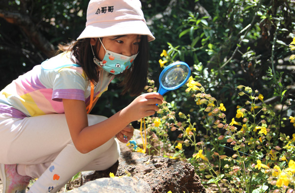 A young person is observing nature in the Outdoor Nature Lab