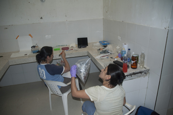 Two researchers conducting research in a laboratory