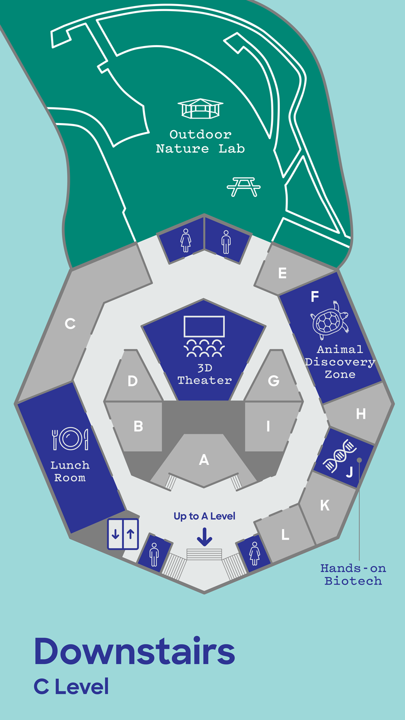 Map of The Lawrence Hall of Science - Downstairs C Level