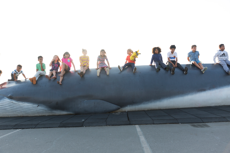 Children are sitting on Pheena the Fin Whale at the Lawrence