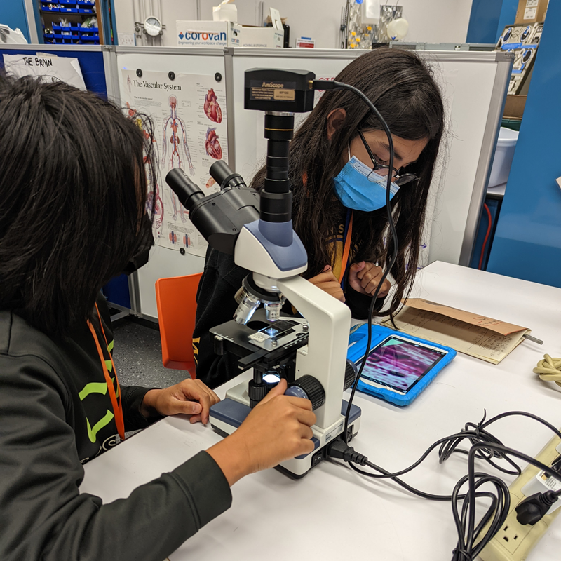 Two students are using a microscope during at STROBE activity