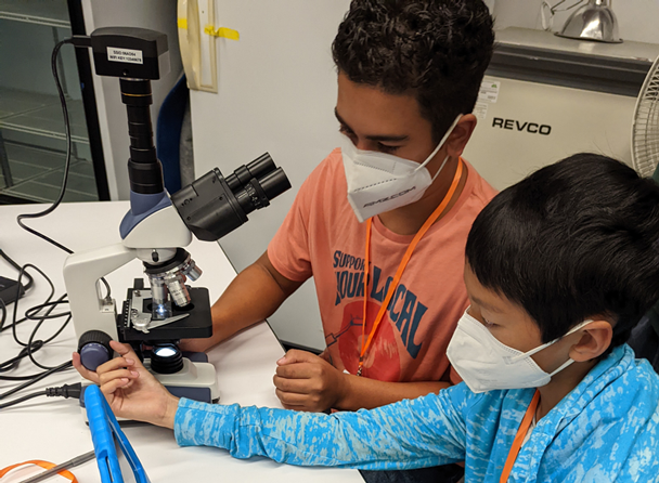 Two students are using a microscope and viewing results on a screen during a STROBE science activity