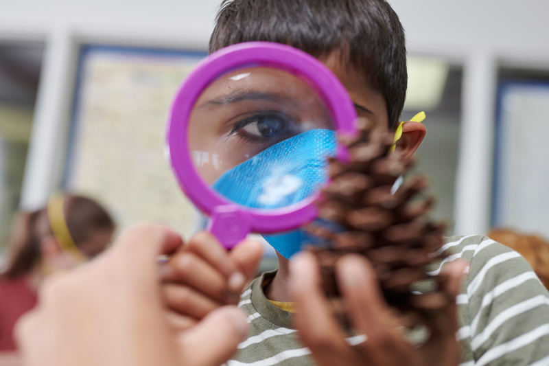 A child is looking through a hand lens at a large pine cone.