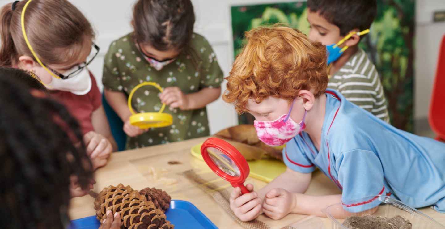 A group of campers are using hand lenses to examine large pine cones and other items from nature.