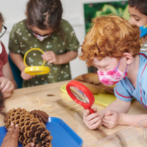 A group of campers are using hand lenses to examine large pine cones and other items from nature.