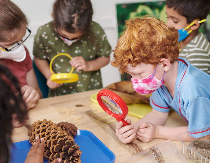 A group of campers are using hand lenses to examine large pine cones and other items from nature.