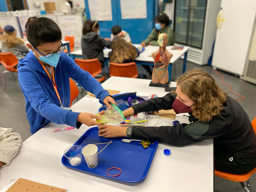 Two students are working on a science activity during the Body Systems and Biomedical Innovations program.
