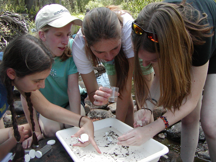 Four students are working together during an investigation of stream water in the Forest Ecology Teen Research Program.