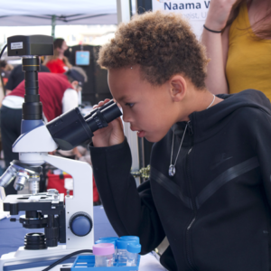 A student looks through a microscope