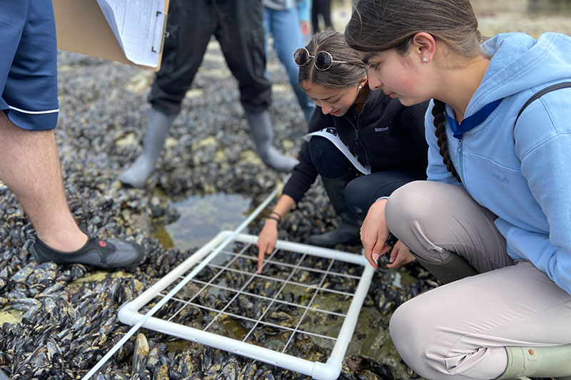 Teens investigate a tide pool during the Marine Biology Teen Research Program