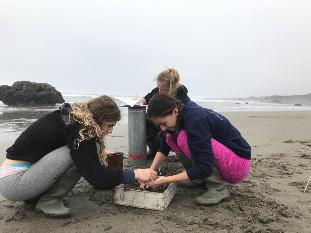 Three students making observations on the beach.