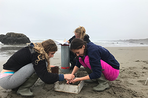 Three students making observations on the beach.