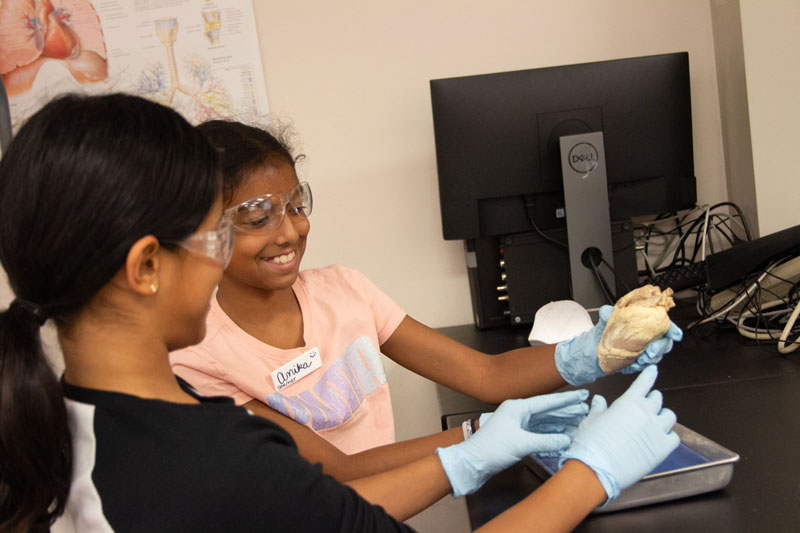 Two students conduct heart investigations during the Body Systems teen research program