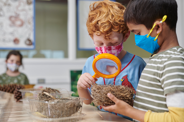 Two children are using a hand lens to examine a bird's nest