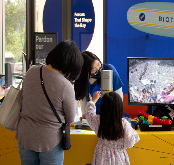 An adult and child are visiting the Biotech Beach exhibit at The Lawrence Hall of Science