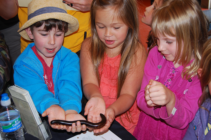 Three students are examining a bug during a science activity