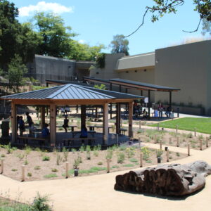 The Outdoor Nature Lab