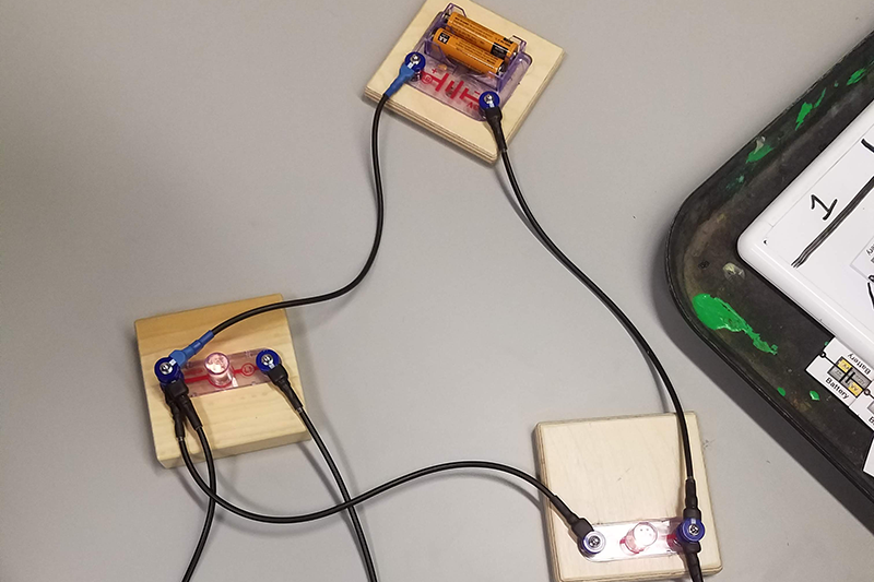 A circuit science activity