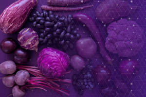 Closeup of purple vegetables (eggplant, cabbage, beets, carrots, cauliflower) on a purple tablecloth