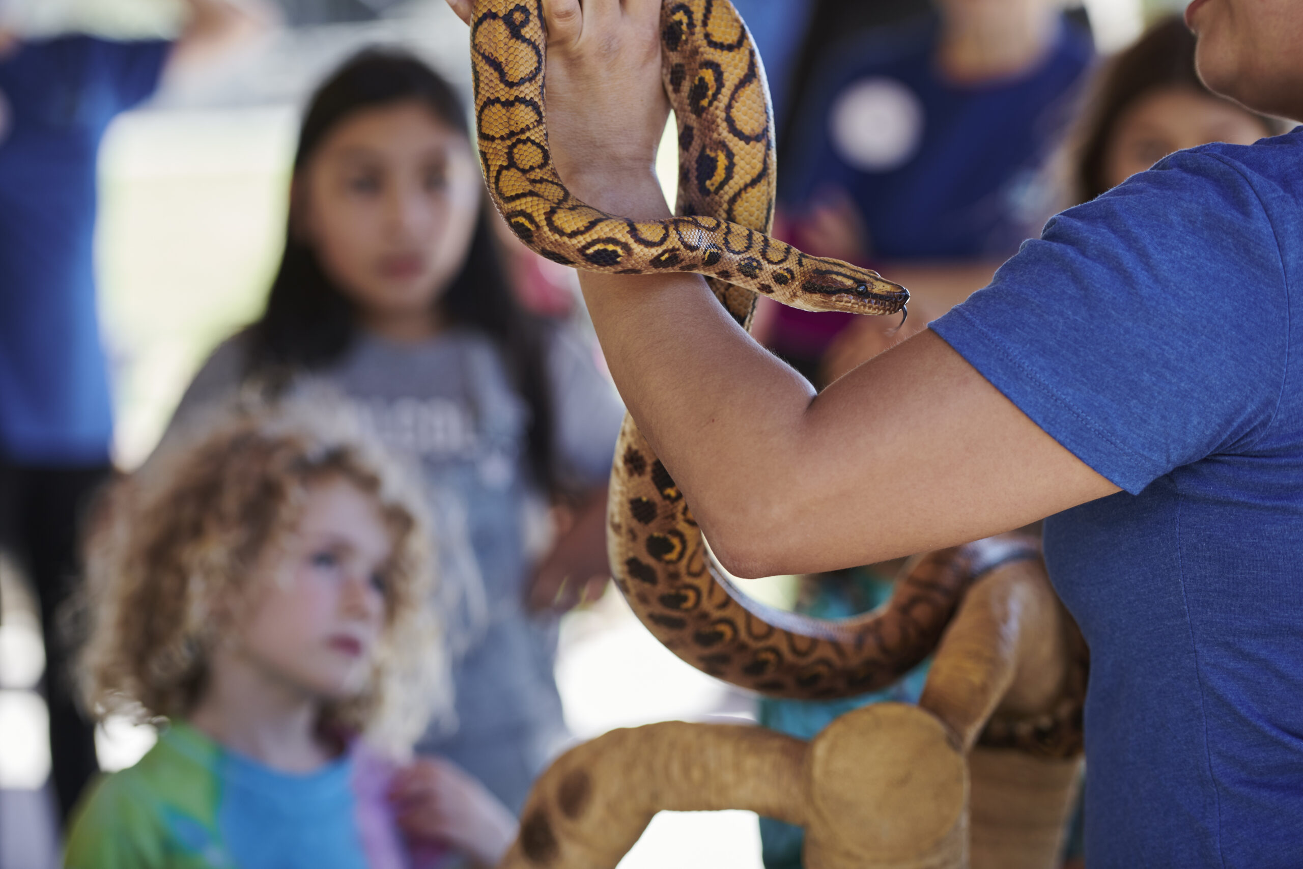 Children watching Lawrence staff holding snake