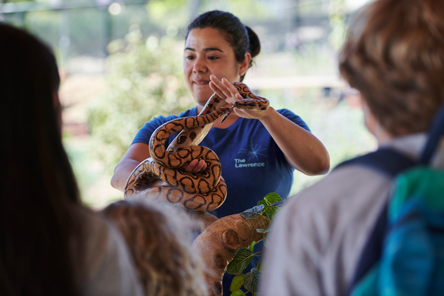 A teacher holds up a python for visitors