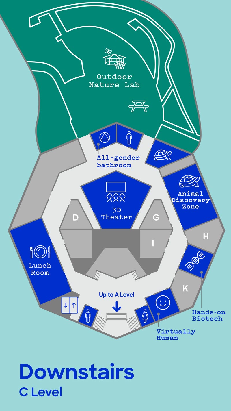 Map of The Lawrence Hall of Science - Downstairs C Level