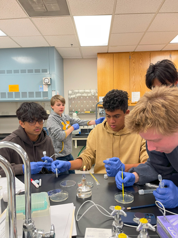 Biotech teens doing experiments