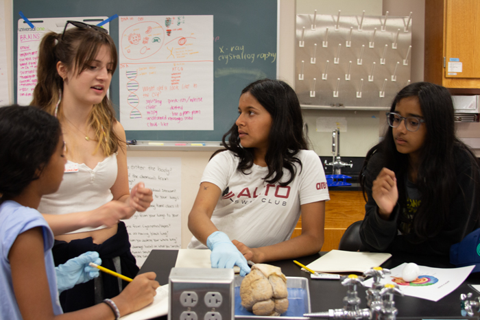 Body Systems teens with brain investigation