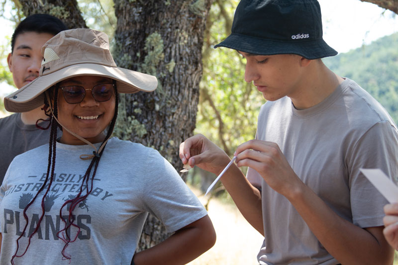 Teens in the Field Ecology Teen Research Program conduct leaf investigations