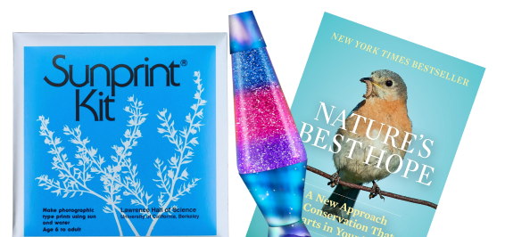 Staff Picks items: Sunprint Kit®, lava lamp, and Nature's Best Hope book 