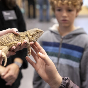 Children interacting with Melbourne the bearded dragon