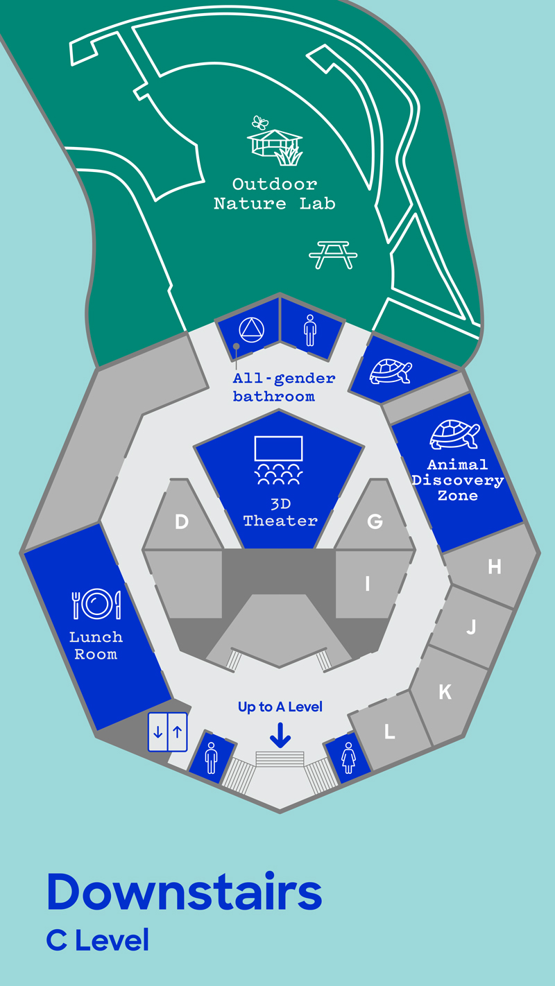 Downstairs - C Level - Map of The Lawrence Hall of Science